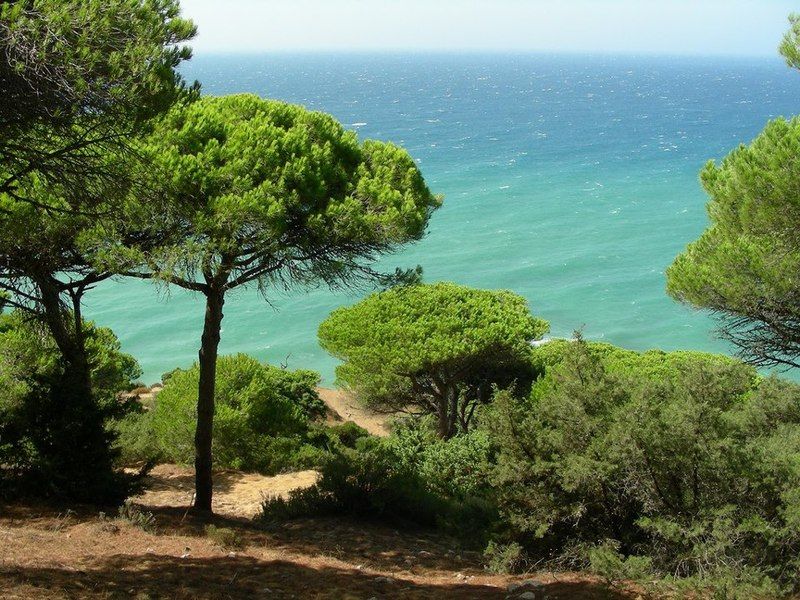 La Aceitera De Trafalgar Barbate Kültér fotó
