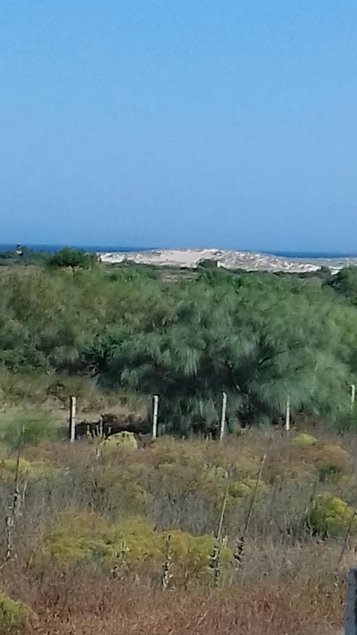 La Aceitera De Trafalgar Barbate Kültér fotó